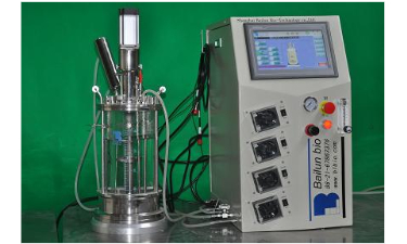 玻璃發(fā)酵罐