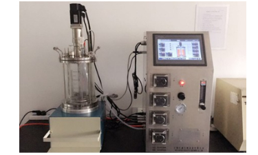 玻璃發(fā)酵罐