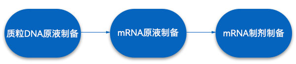 mRNA藥物生產(chǎn)工藝步驟 mRNA藥物生產(chǎn)工藝步驟